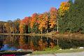 fall 040